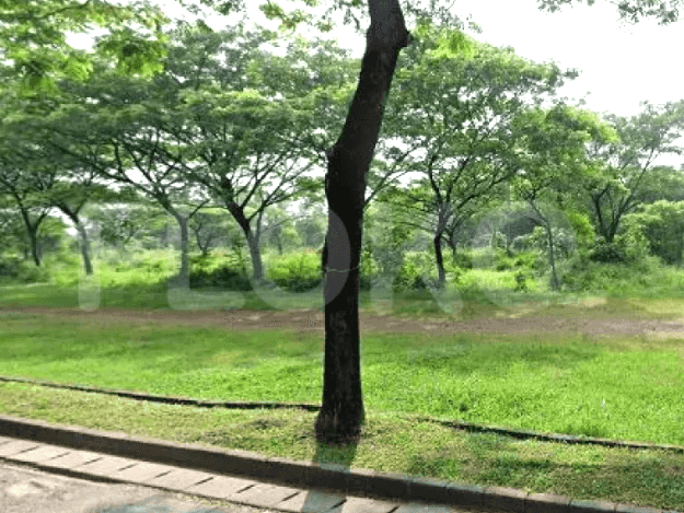 3747 sqm, Land for Rent in Kavling Komersil , Bintaro 1