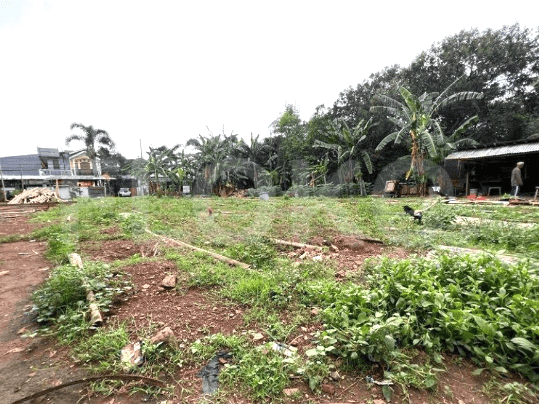 1155 sqm, Land for Sale in Jalan Cirendeu, Ciputat 4