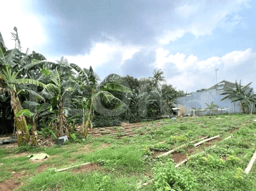 1155 sqm, Land for Sale in Jalan Cirendeu, Ciputat 1