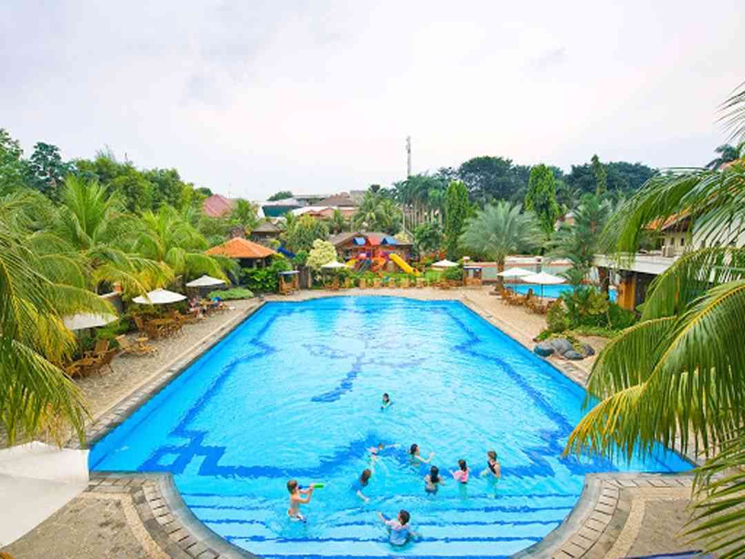 Swimming pool Executive Paradise Complex