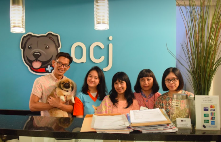 Best English-Speaking Vet Clinics in Jakarta | Flokq Coliving Jakarta Blog