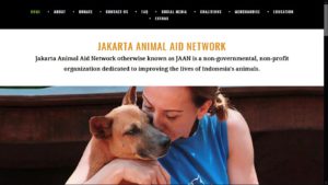 Animal Rescue Groups in Jakarta | Flokq Coliving Jakarta Blog