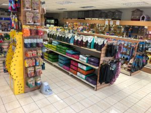 7 Recommended Pet Stores in Jakarta | Flokq Blog