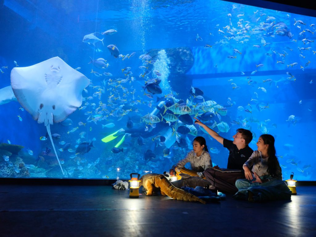 Jakarta Aquarium view 