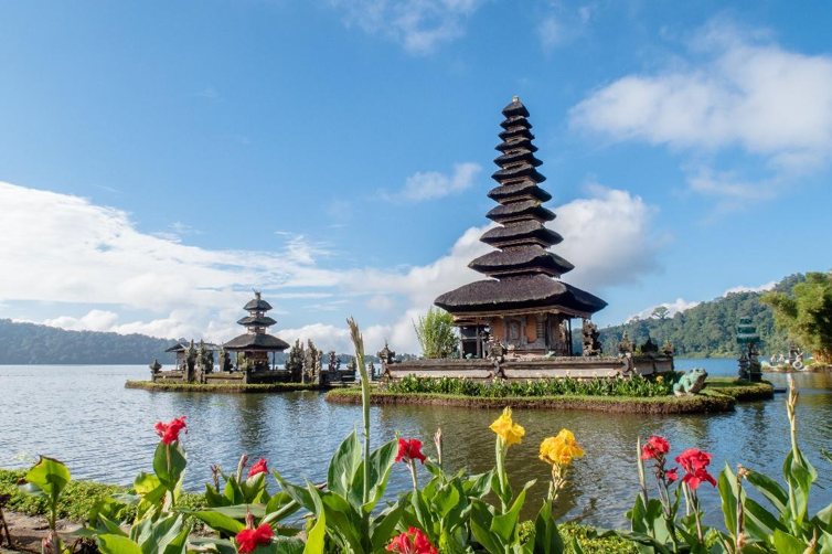 Bali Tour Guide