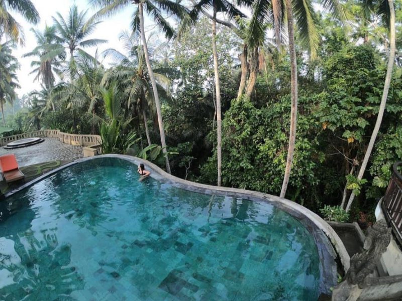 Villa Murah Di Ubud: 10 Rekomendasi Untuk Liburan Di Bali | Flokq Blog